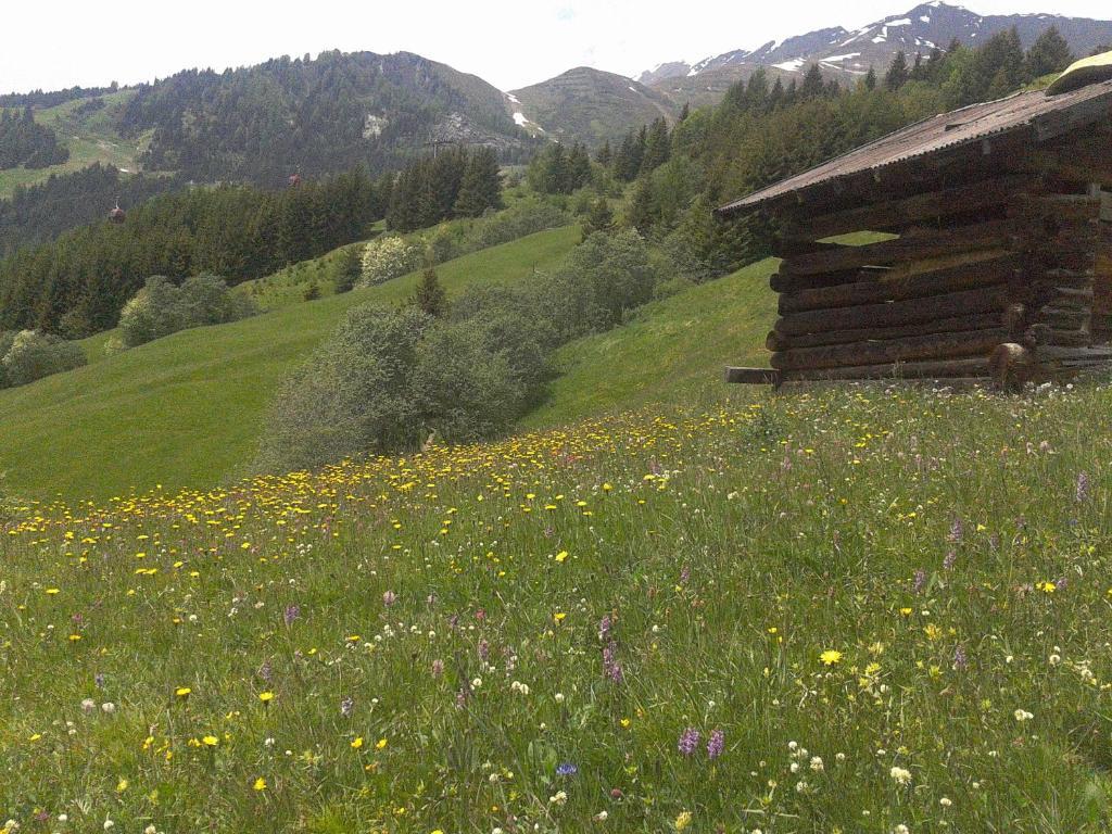 Apart Panoramablick Kaunerberg Extérieur photo